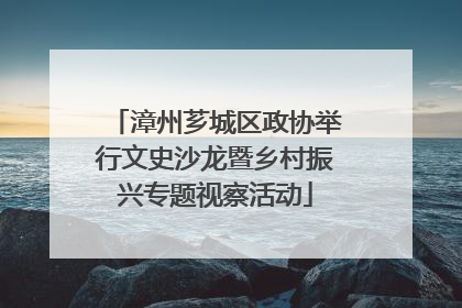 漳州芗城区政协举行文史沙龙暨乡村振兴专题视察活动