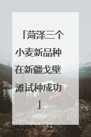 菏泽三个小麦新品种在新疆戈壁滩试种成功
