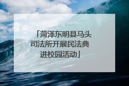 菏泽东明县马头司法所开展民法典进校园活动