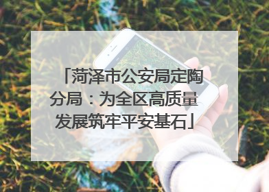 菏泽市公安局定陶分局：为全区高质量发展筑牢平安基石