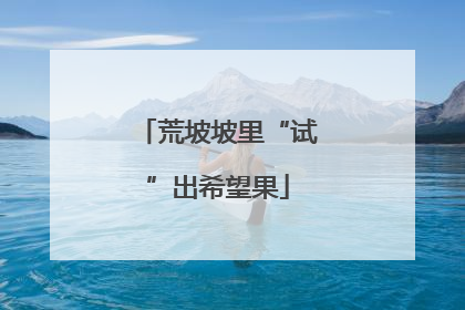 荒坡坡里“试”出希望果