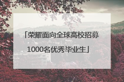 荣耀面向全球高校招募1000名优秀毕业生
