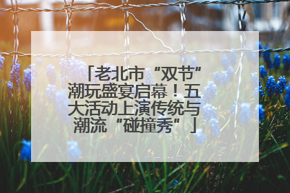 老北市“双节”潮玩盛宴启幕！五大活动上演传统与潮流“碰撞秀”