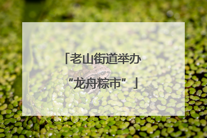 老山街道举办“龙舟粽市”