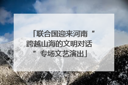 联合国迎来河南“跨越山海的文明对话”专场文艺演出