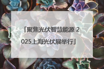 聚焦光伏智慧能源 2025上海光伏展举行