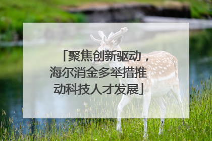 聚焦创新驱动，海尔消金多举措推动科技人才发展