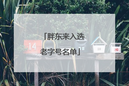 胖东来入选老字号名单