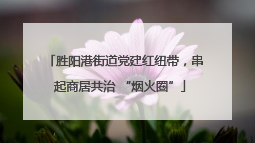 胜阳港街道党建红纽带，串起商居共治 “烟火圈”