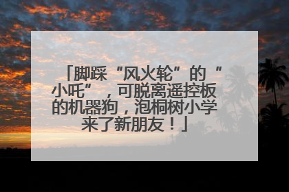 脚踩“风火轮”的“小吒”，可脱离遥控板的机器狗，泡桐树小学来了新朋友！