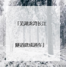 芜湖龙湾长江隧道建成通车