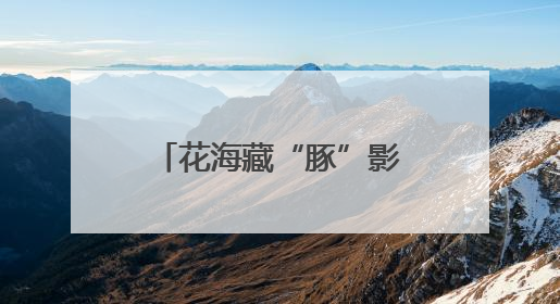 花海藏“豚”影！江豚湾景区创意花田邀你来打卡