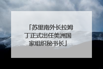 苏里南外长拉姆丁正式出任美洲国家组织秘书长