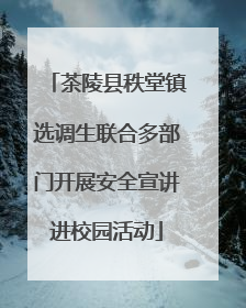 茶陵县秩堂镇选调生联合多部门开展安全宣讲进校园活动