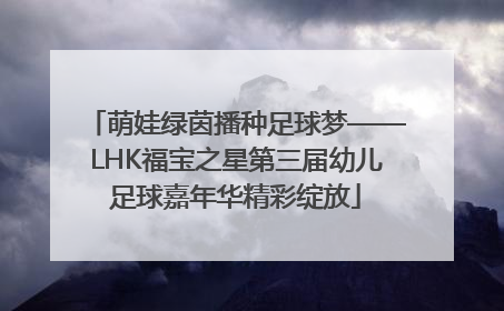 萌娃绿茵播种足球梦——LHK福宝之星第三届幼儿足球嘉年华精彩绽放