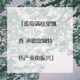 蓝莓满枝果飘香 承德宽城特色产业助振兴