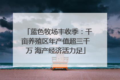 蓝色牧场丰收季：千亩养殖区年产值超三千万 海产经济活力足