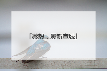 蔡毅，履新宣城
