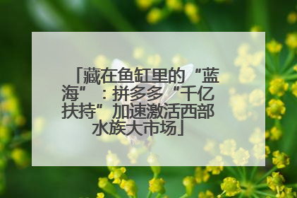藏在鱼缸里的“蓝海”：拼多多“千亿扶持”加速激活西部水族大市场