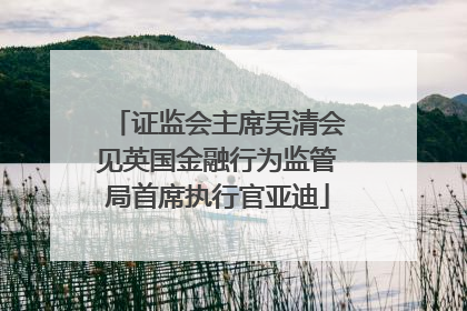 证监会主席吴清会见英国金融行为监管局首席执行官亚迪