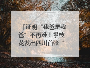 证明“我爸是我爸”不再难！攀枝花发出四川首张“户籍人口直系亲属关系谱”