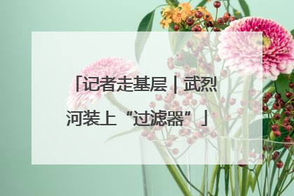 记者走基层｜武烈河装上“过滤器”