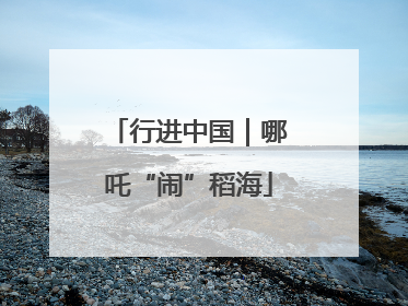 行进中国｜哪吒“闹”稻海