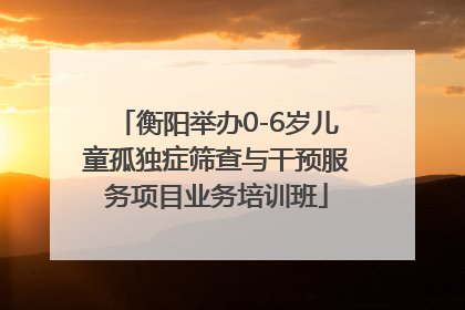 衡阳举办0-6岁儿童孤独症筛查与干预服务项目业务培训班