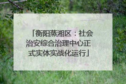 衡阳蒸湘区：社会治安综合治理中心正式实体实战化运行