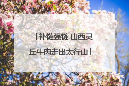 补链强链 山西灵丘牛肉走出太行山