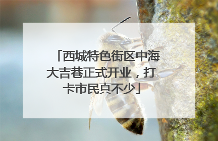 西城特色街区中海大吉巷正式开业，打卡市民真不少