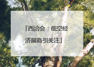 西洽会：低空经济展商引关注