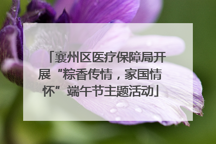 襄州区医疗保障局开展“粽香传情，家国情怀”端午节主题活动