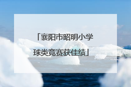 襄阳市昭明小学球类竞赛获佳绩