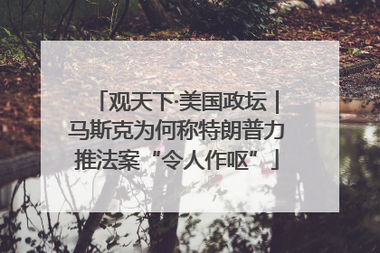 观天下·美国政坛｜马斯克为何称特朗普力推法案“令人作呕”