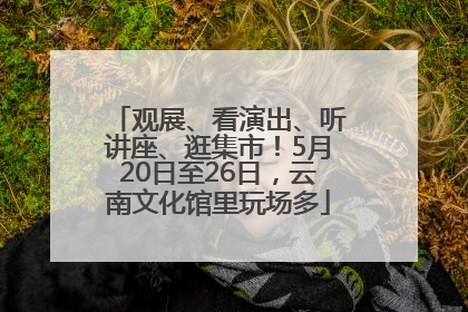 观展、看演出、听讲座、逛集市！5月20日至26日，云南文化馆里玩场多