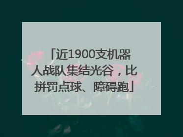 近1900支机器人战队集结光谷，比拼罚点球、障碍跑