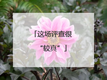 这场评查很“较真”