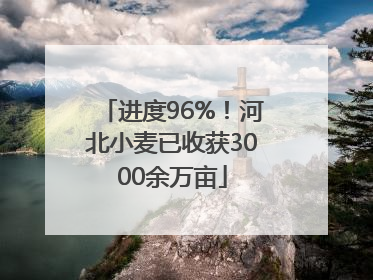 进度96%！河北小麦已收获3000余万亩