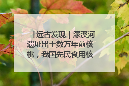 远古发现｜濛溪河遗址出土数万年前核桃，我国先民食用核桃历史大幅提前