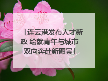 连云港发布人才新政 绘就青年与城市双向奔赴新图景