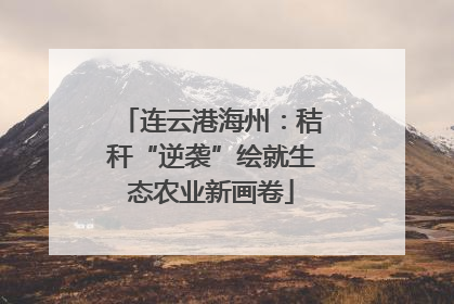 连云港海州：秸秆“逆袭”绘就生态农业新画卷