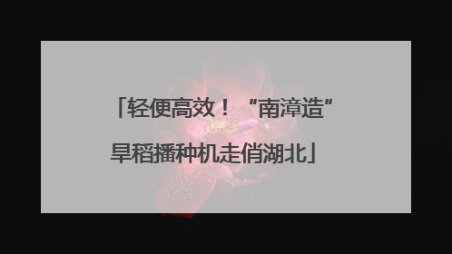 轻便高效！“南漳造”旱稻播种机走俏湖北