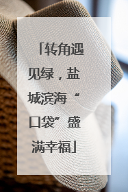 转角遇见绿，盐城滨海“口袋”盛满幸福