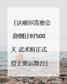 达喀尔青奥会迎倒计时500天 武术将正式登上奥运舞台