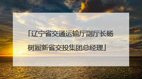 辽宁省交通运输厅副厅长杨树履新省交投集团总经理