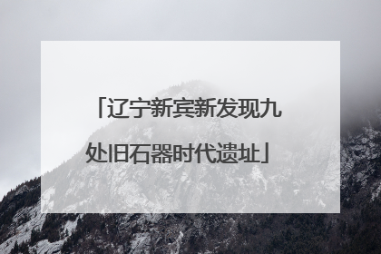 辽宁新宾新发现九处旧石器时代遗址