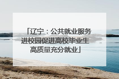 辽宁：公共就业服务进校园促进高校毕业生高质量充分就业