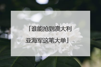 谁能抢到澳大利亚海军这笔大单