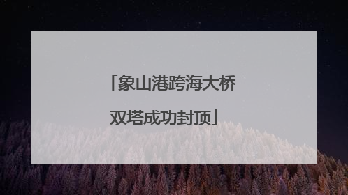 象山港跨海大桥双塔成功封顶